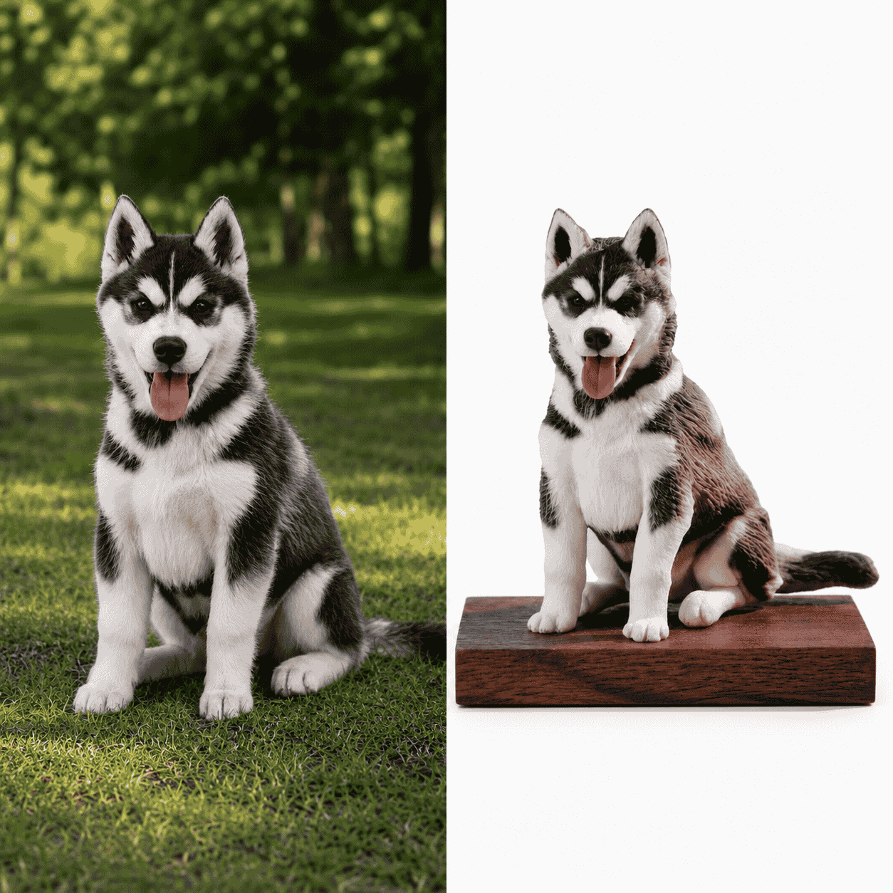 PetPortrait