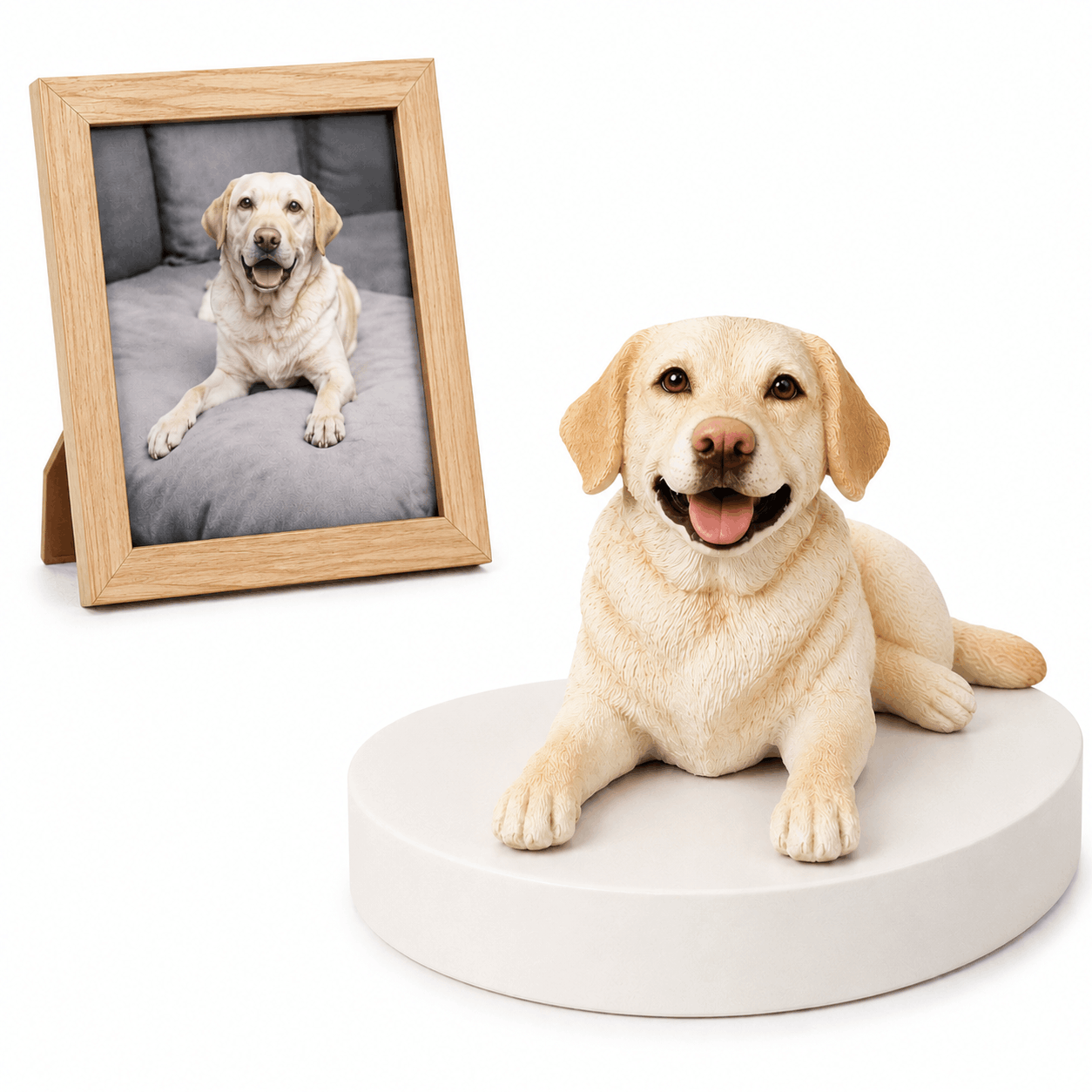 PetPortrait