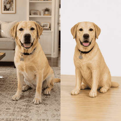 PetPortrait