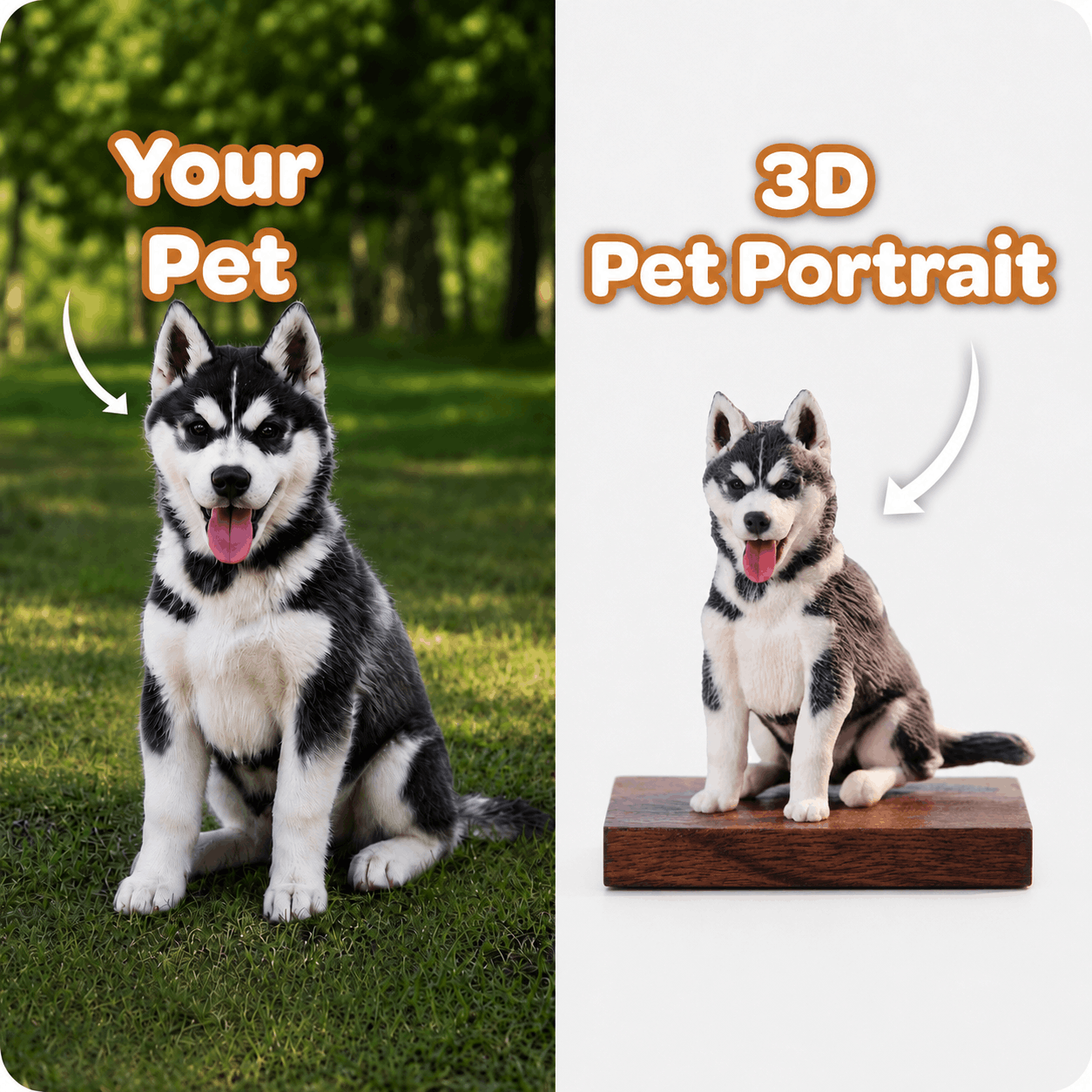 PetPortrait